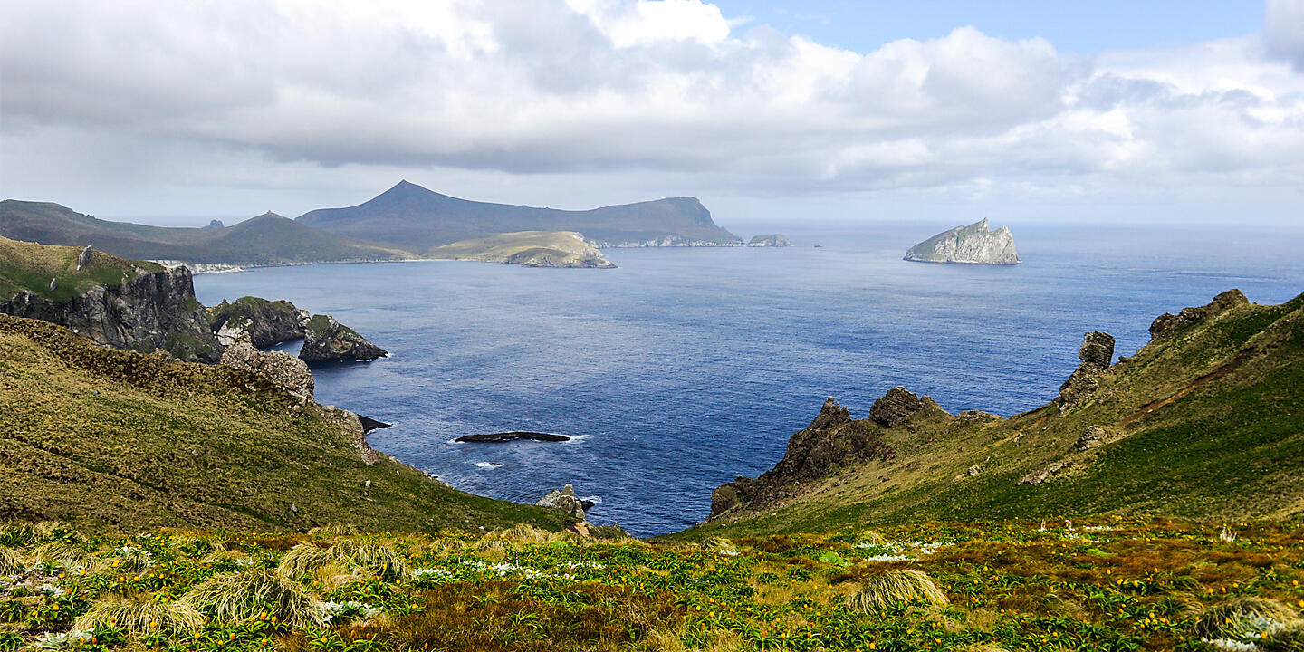 Expedition to New Zealand’s Subantarctic Islands 