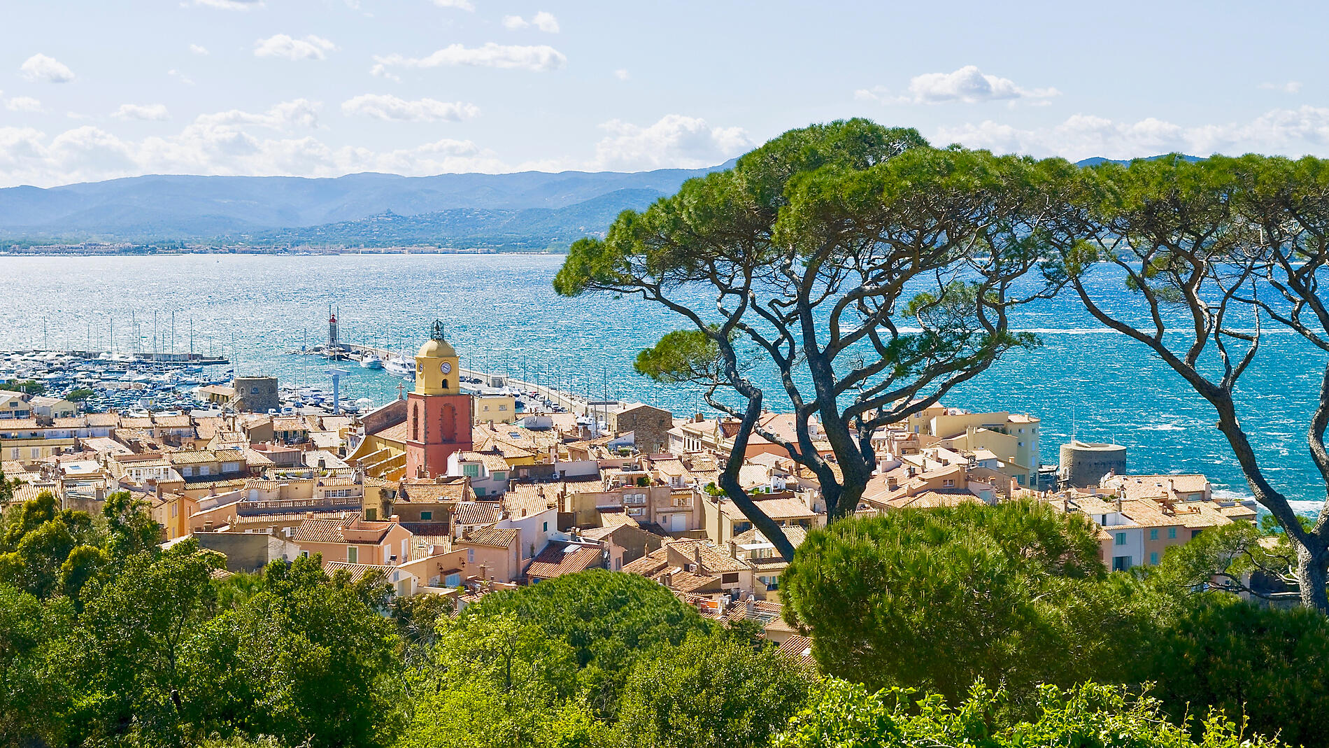 From Riviera Glamour to Corsican Charm