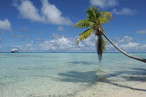 11 July 27 - Fakarava, Tuamotu Islands