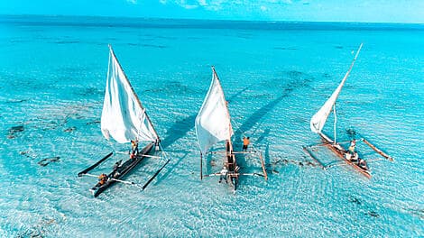 14 Feb 26 - Zanzibar