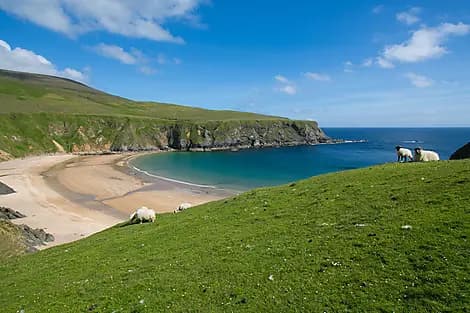 16 Apr 26 > 15 Apr 26 - Killybegs