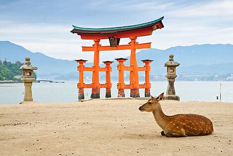 27 May 26 - Miyajima Island