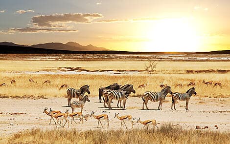 18 Dec 26 > 19 Dec 26 - Richards Bay