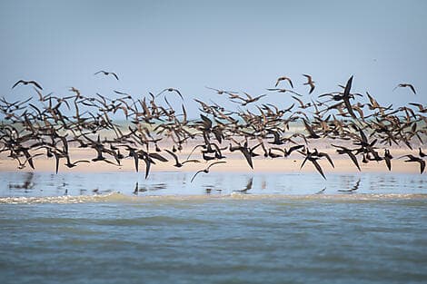 17 July 27 - Lacepede Islands