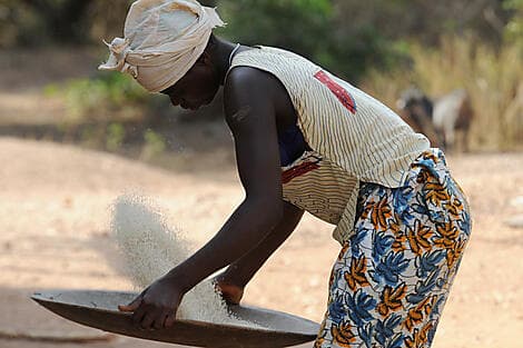 10 Jan 26 - Carache Island, Bijagos