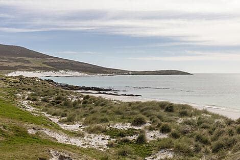 13 Mar 28 > 14 Mar 28 - Carcass Island