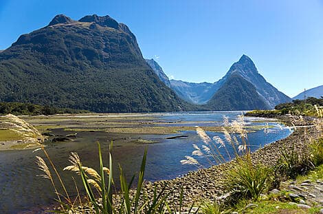 14 Jan 27 - Milford Sound