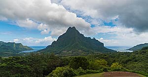 Slow paced belvedere & pineapple valley by e-Bike