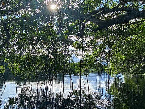 18 Dec 25 - La Ensenada