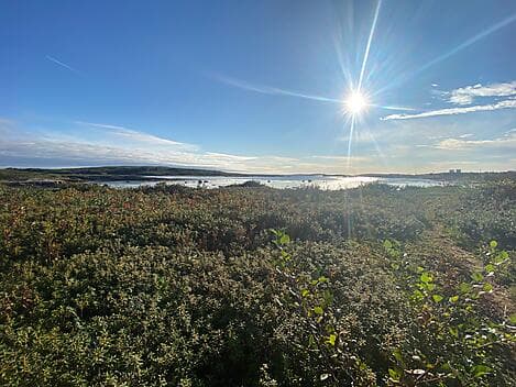 29 Sept 27 - La Romaine