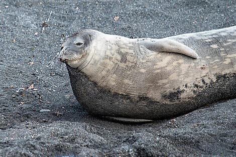 8 Mar 26 > 9 Mar 26 - French Southern and Antarctic Lands