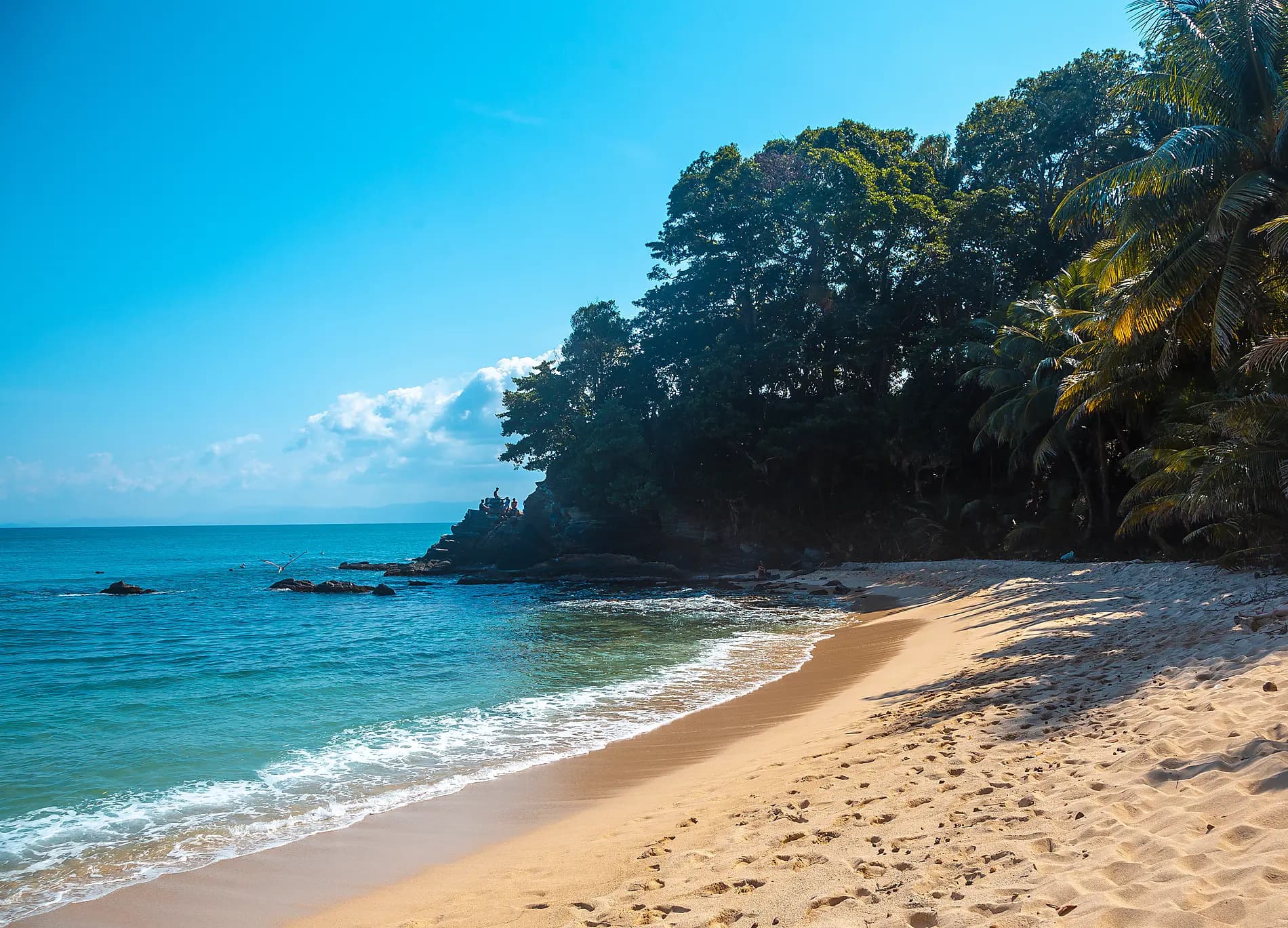 Natural sanctuaries & Caribbean encounters 