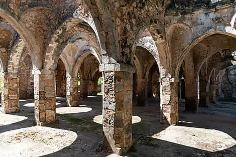 11 Feb 26 - Kilwa Kisiwani