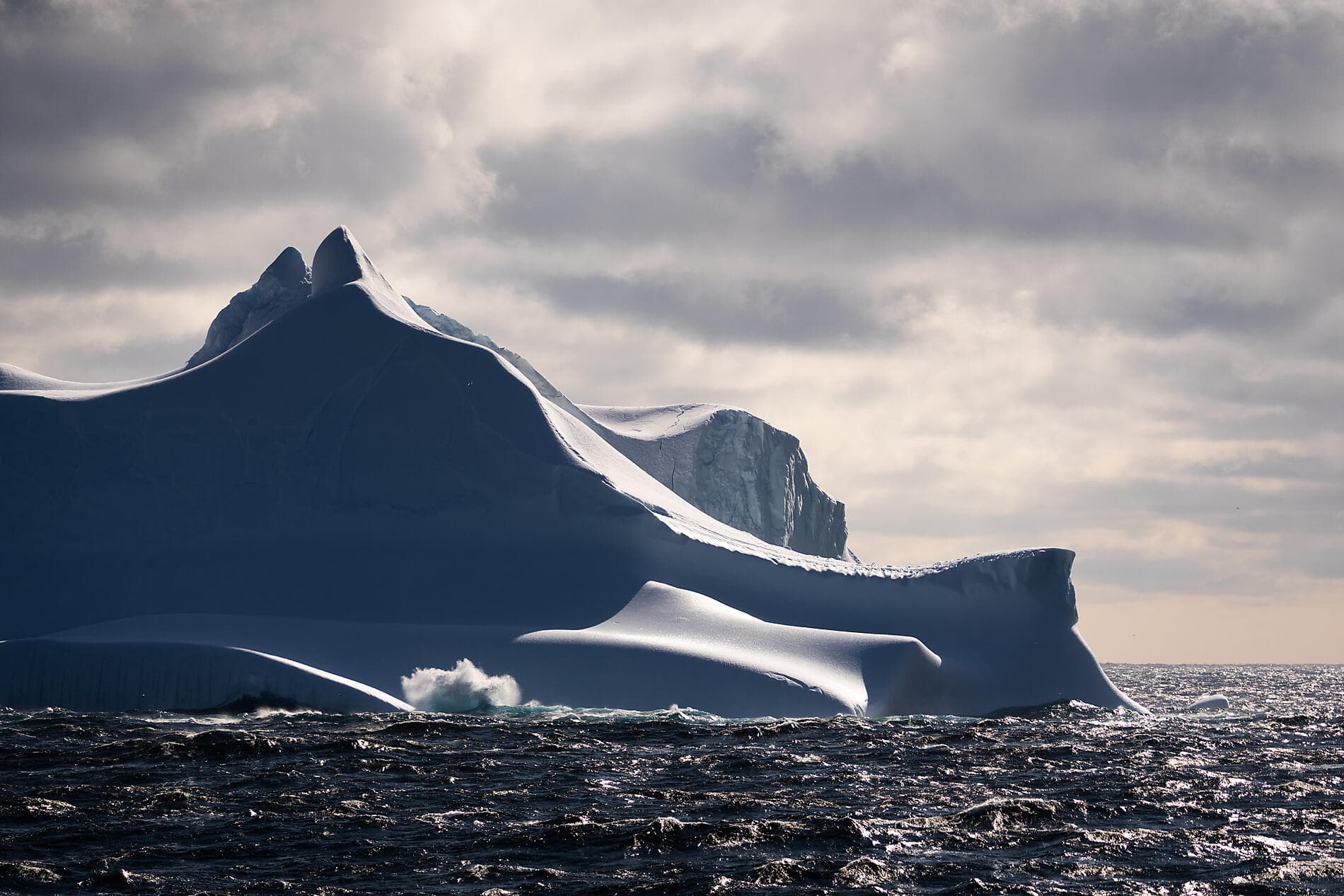 Northeast Greenland's unexplored sea ice