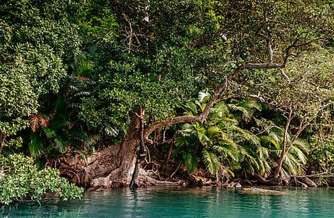 27 Feb 26 - Iriomotejima