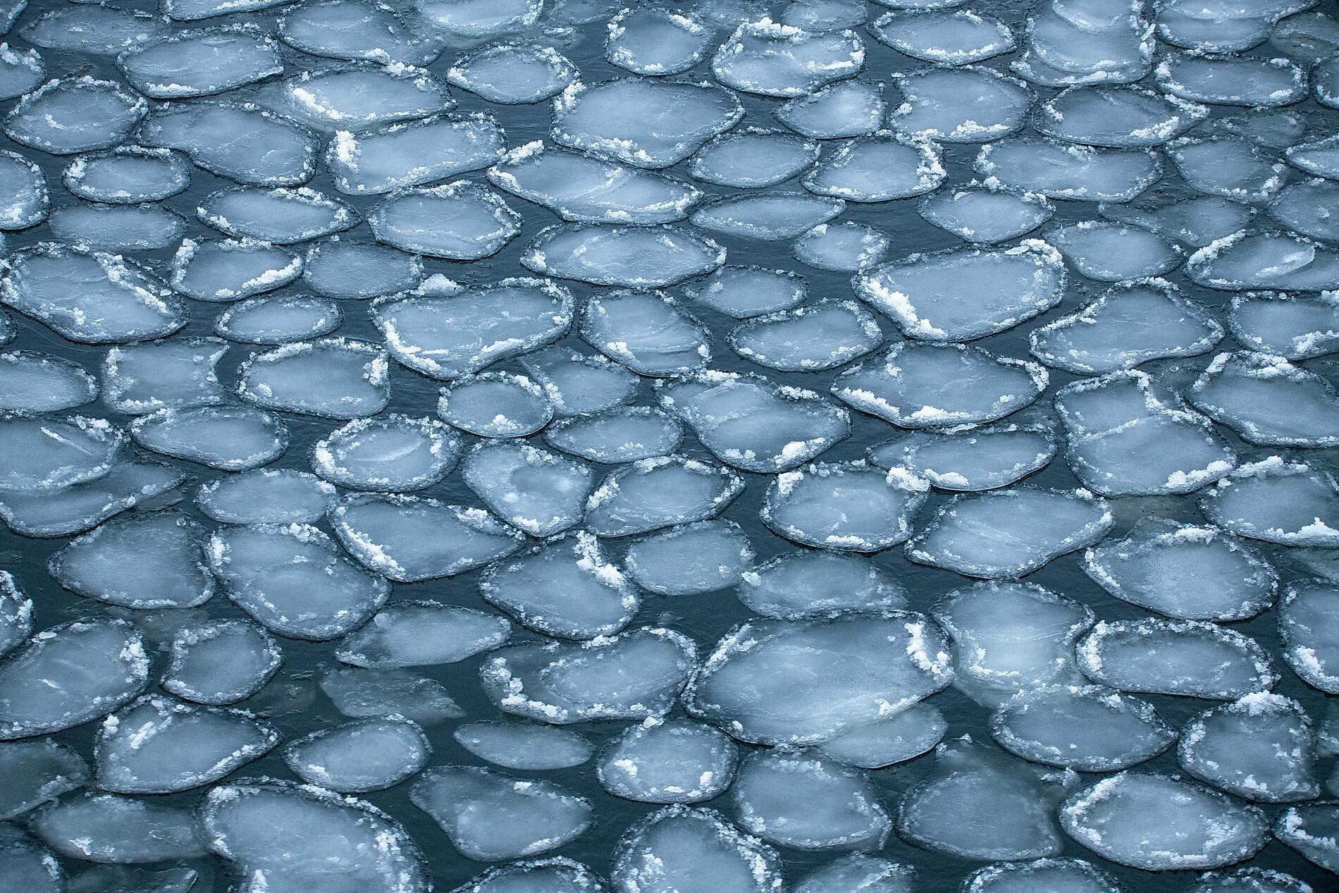 The Gulf of Bothnia, at the Gateway to the Arctic