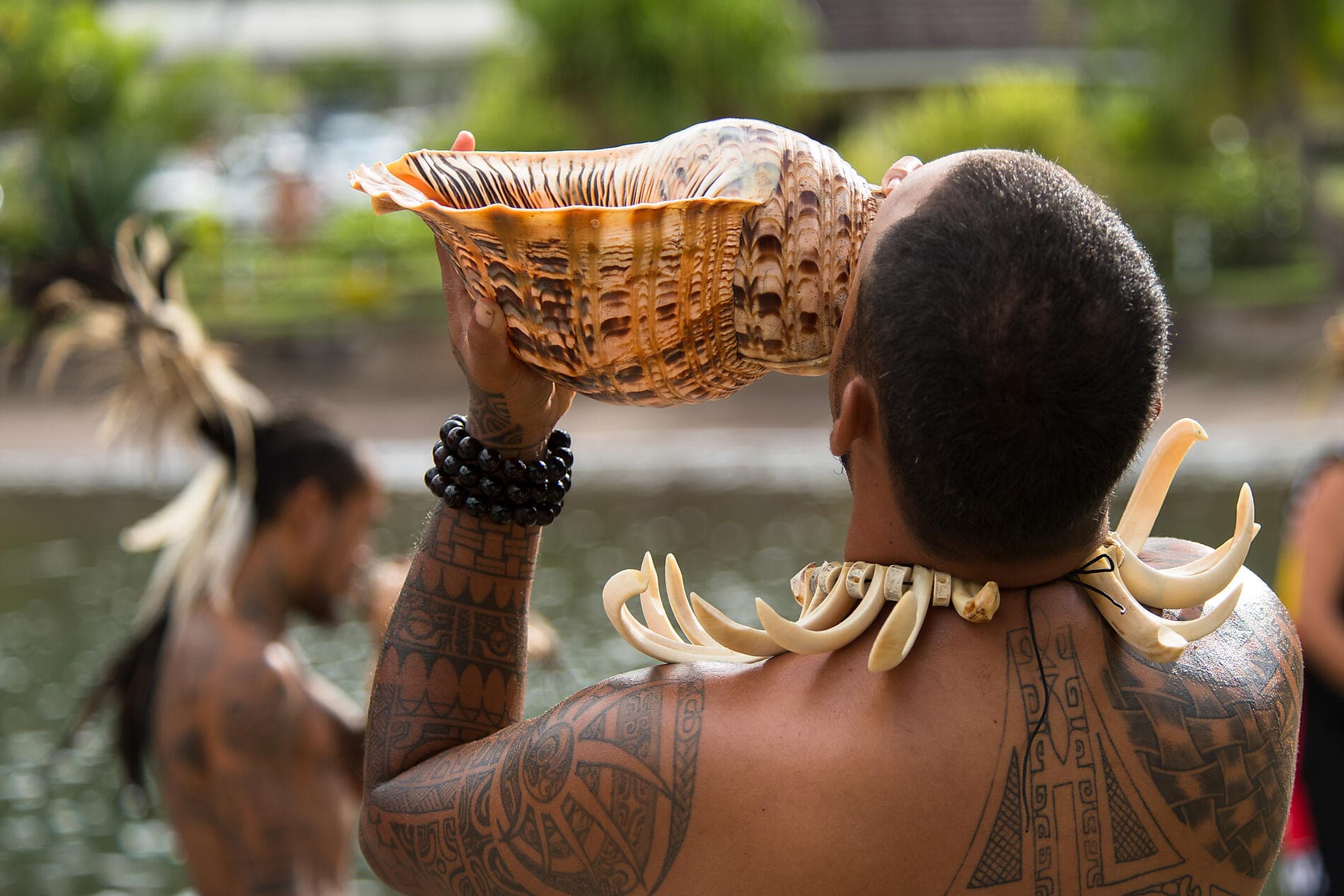 Pearls of the Society Islands 