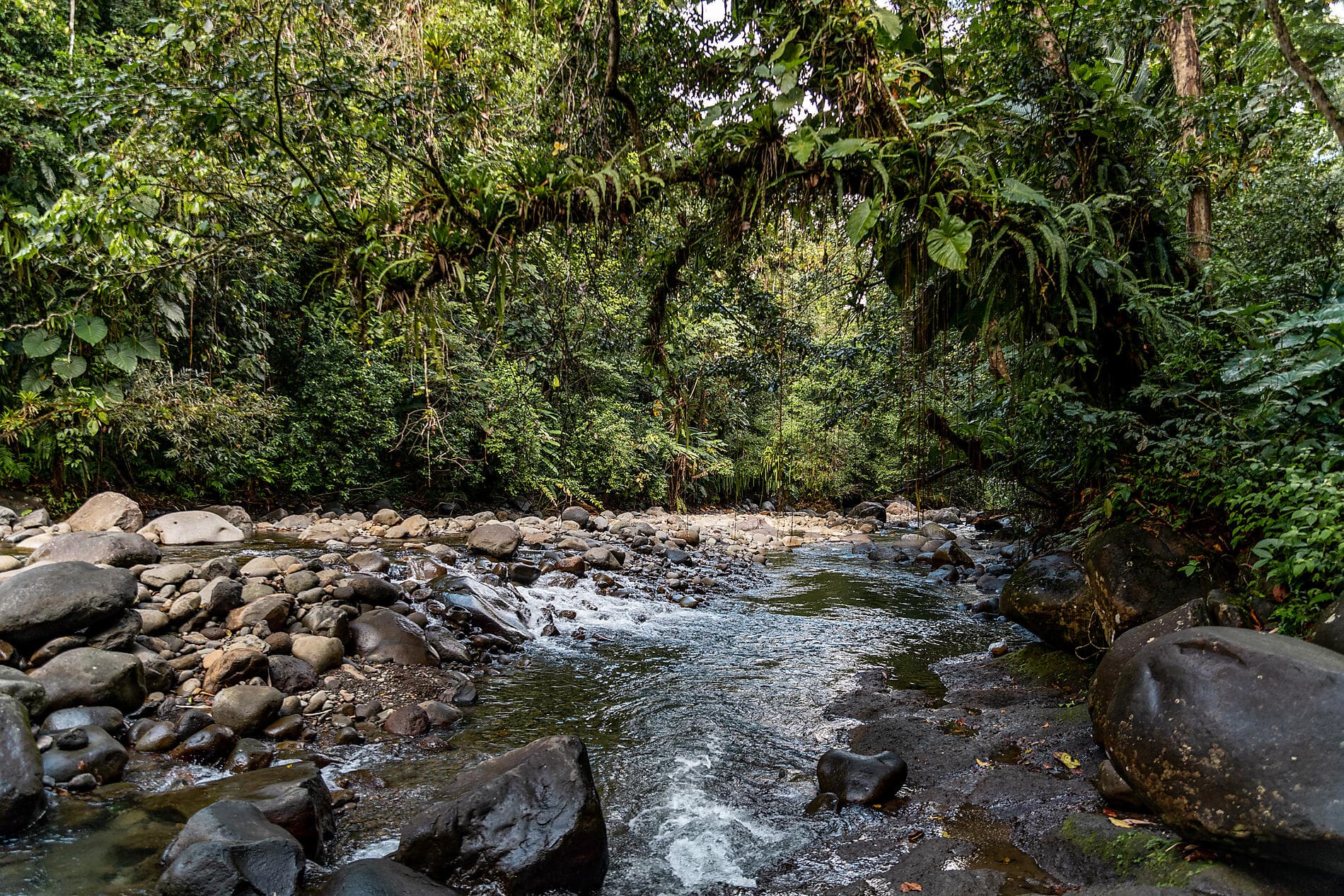 Wonders of the Caribbean 