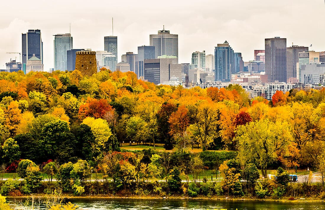 Experience a Canadian sugar shack and overview of Montreal