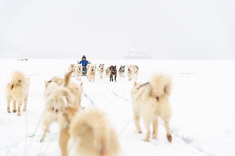 5 Aug 26 - Qeqertarsuaq
