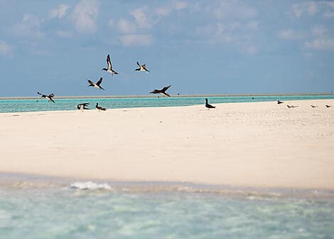25 June 26 - Ashmore Reef (technical stop)