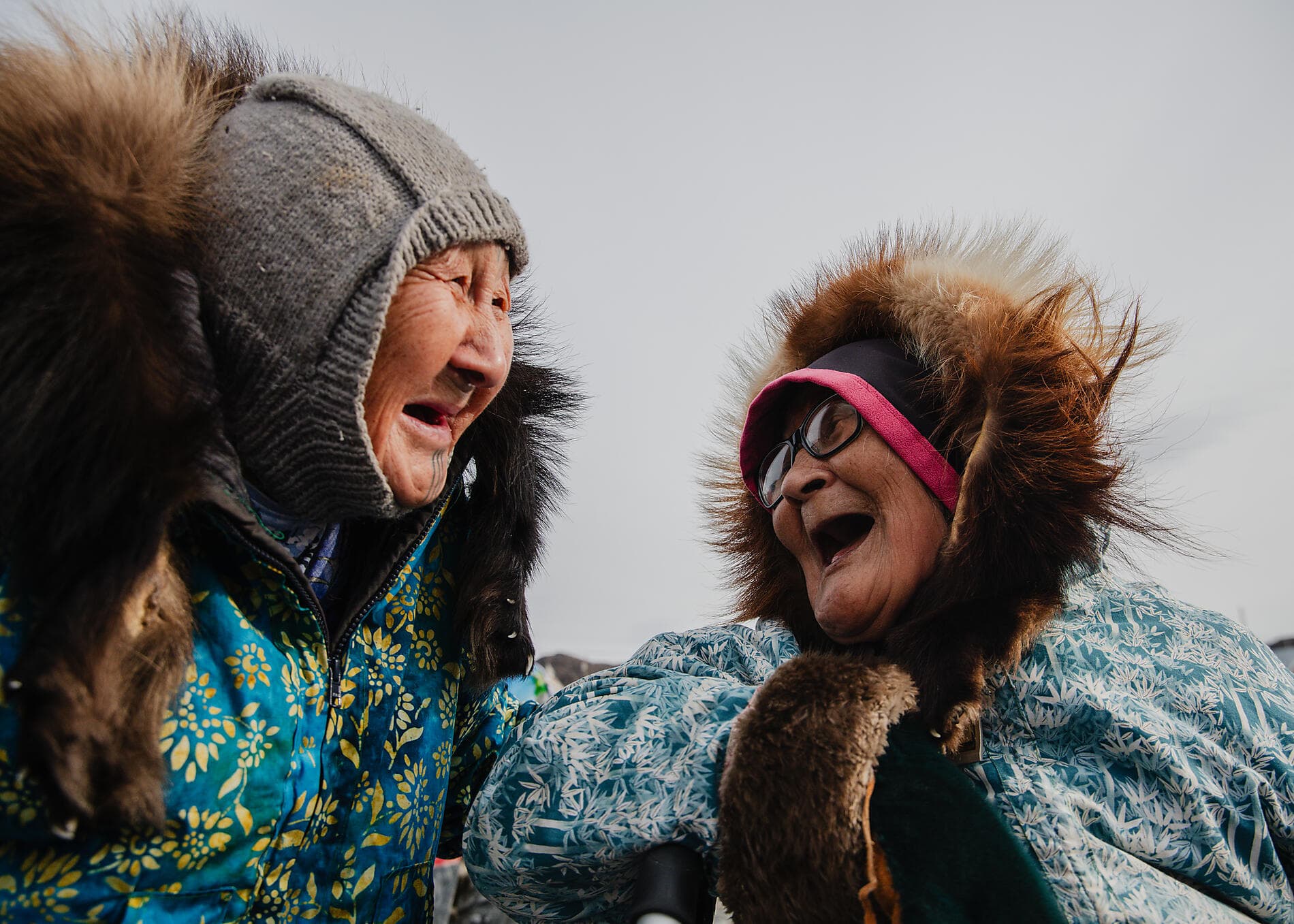 Wilderness from Greenland to the East Coast of Canada 