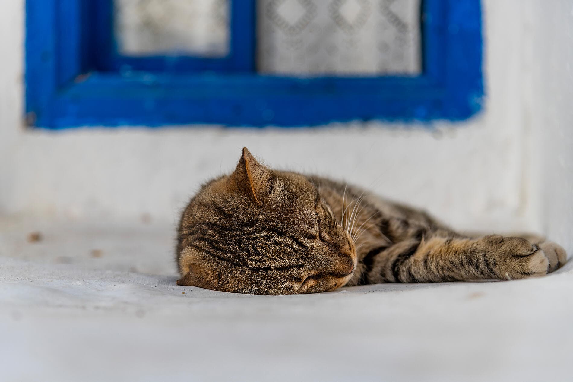 Island hopping aboard Le Ponant, from Athens to Dubrovnik