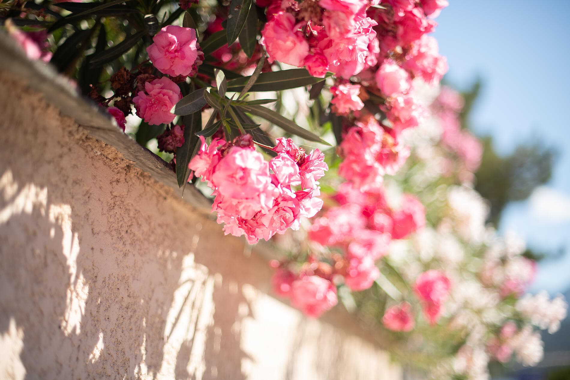 Break between Provence and Catalonia 