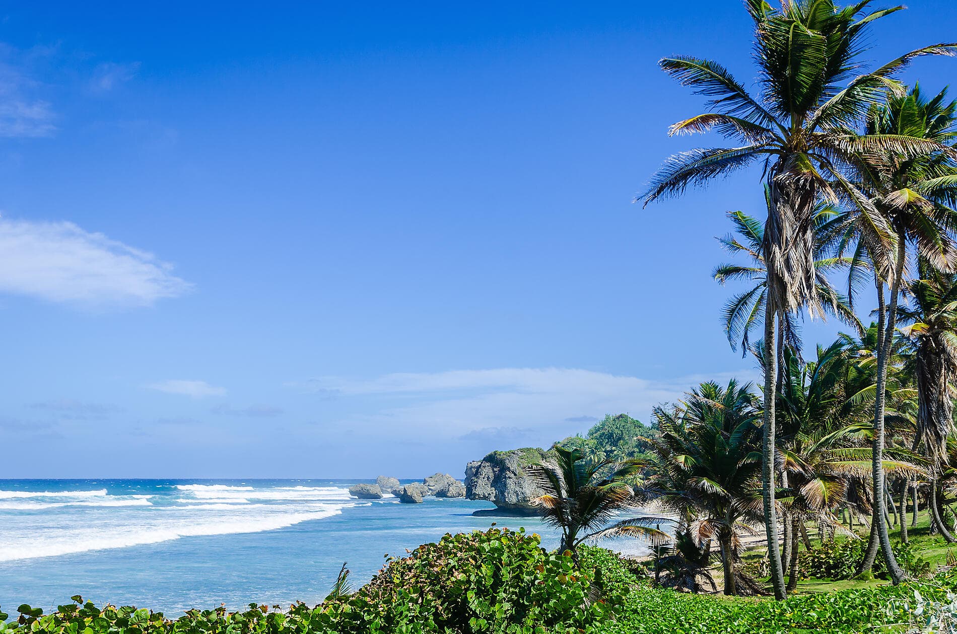 Pearls of the Caribbean 