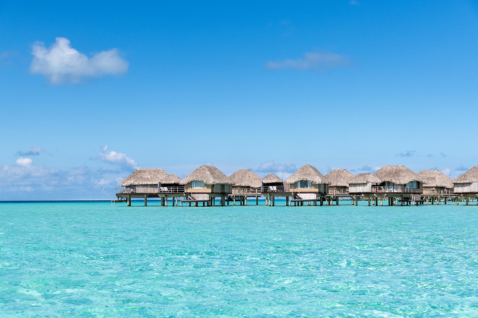 Pearls of the Society Islands 