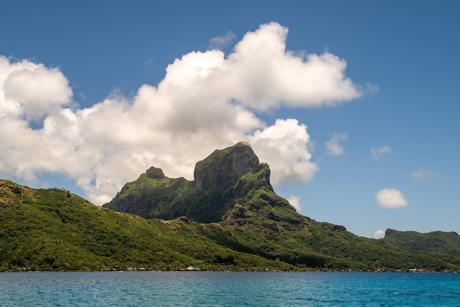 Pearls of the Society Islands 