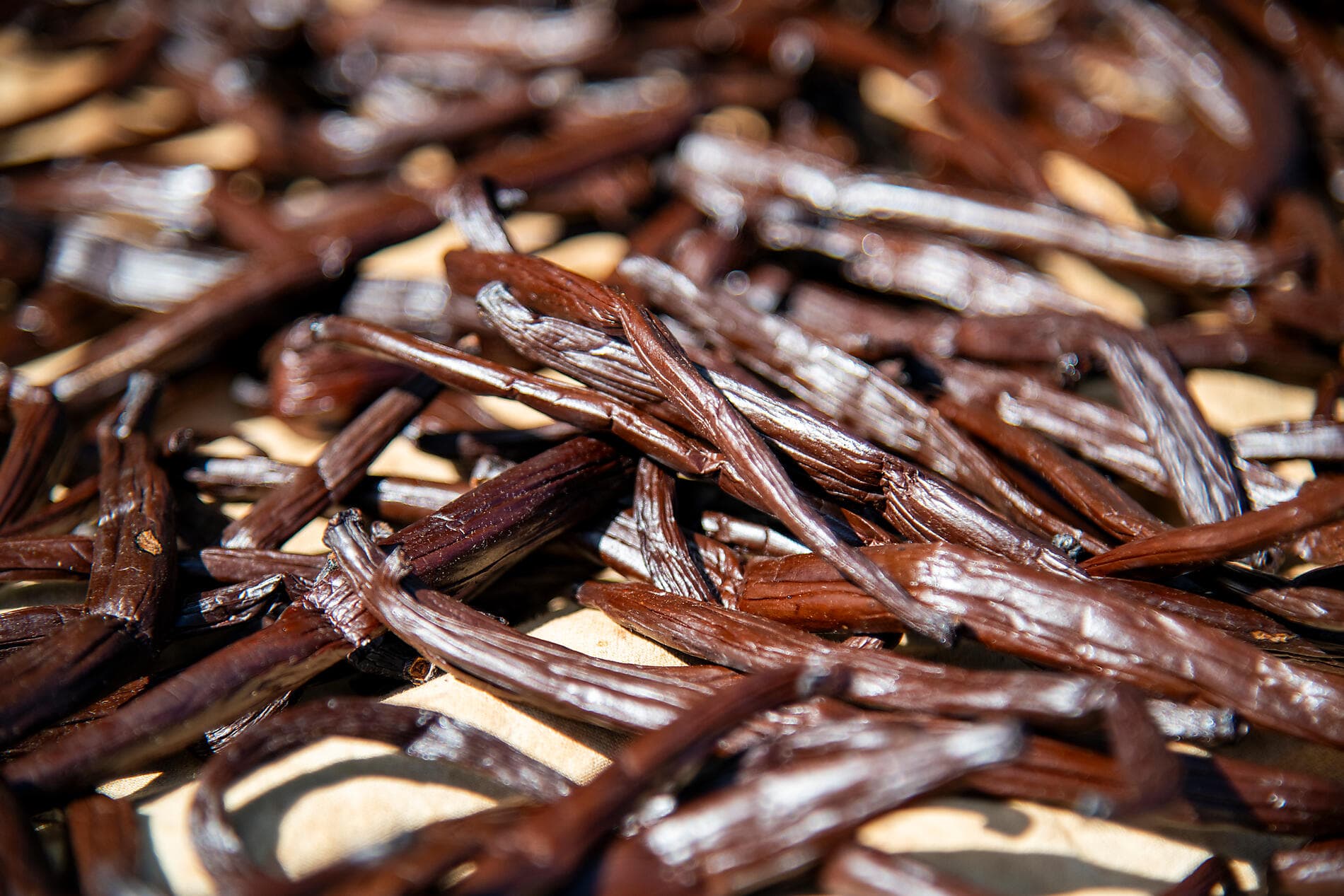 Tahiti and the Society Islands 