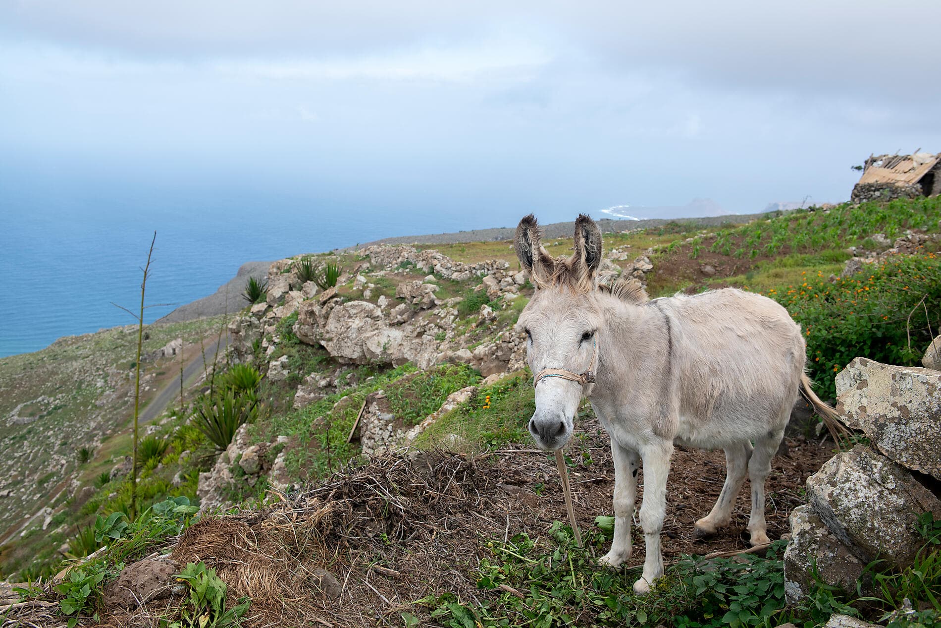 Canary Islands, Morocco and Portugal 