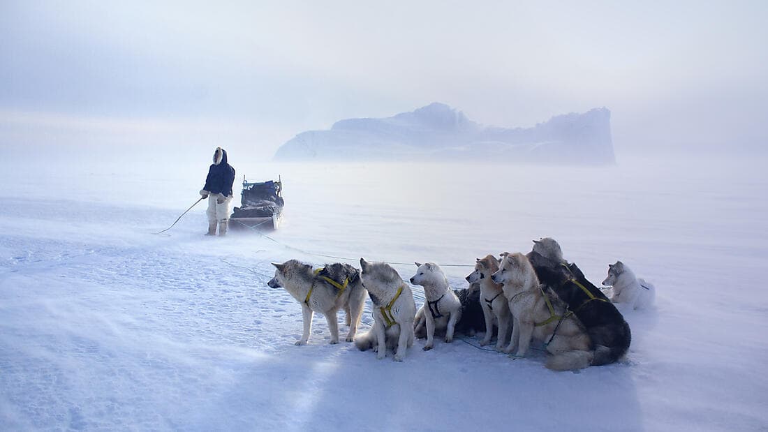 Encounter with the Last Guardians of the North Pole
