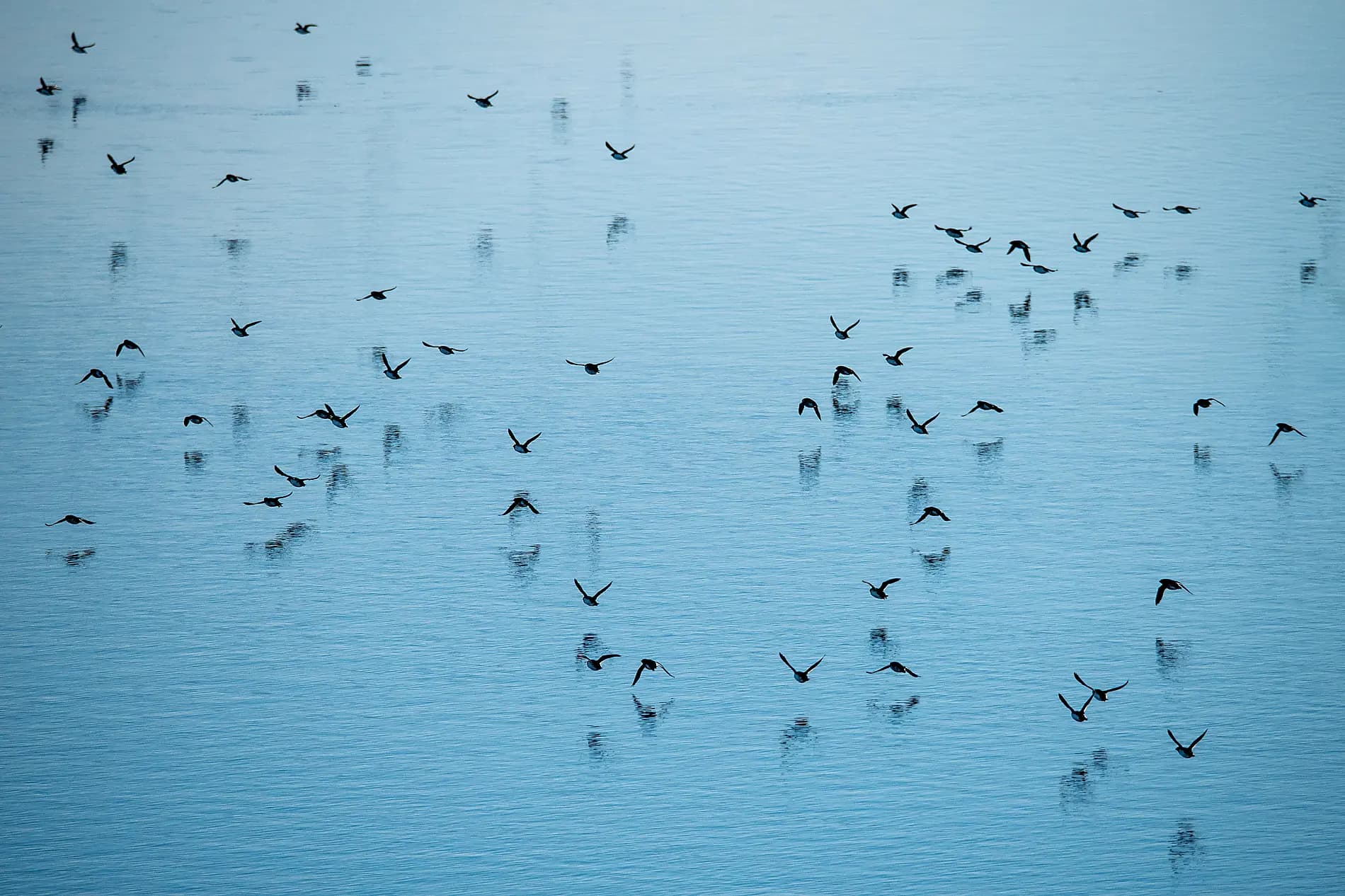 Beyond the inhabited world