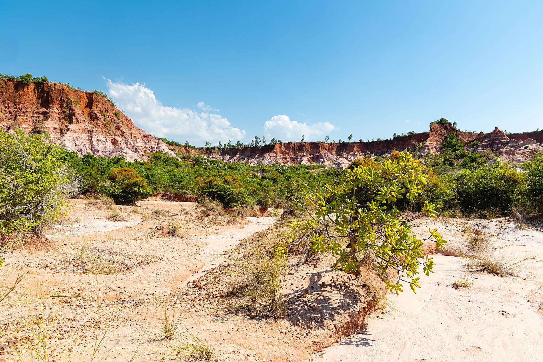 Jewels of Madagascar 