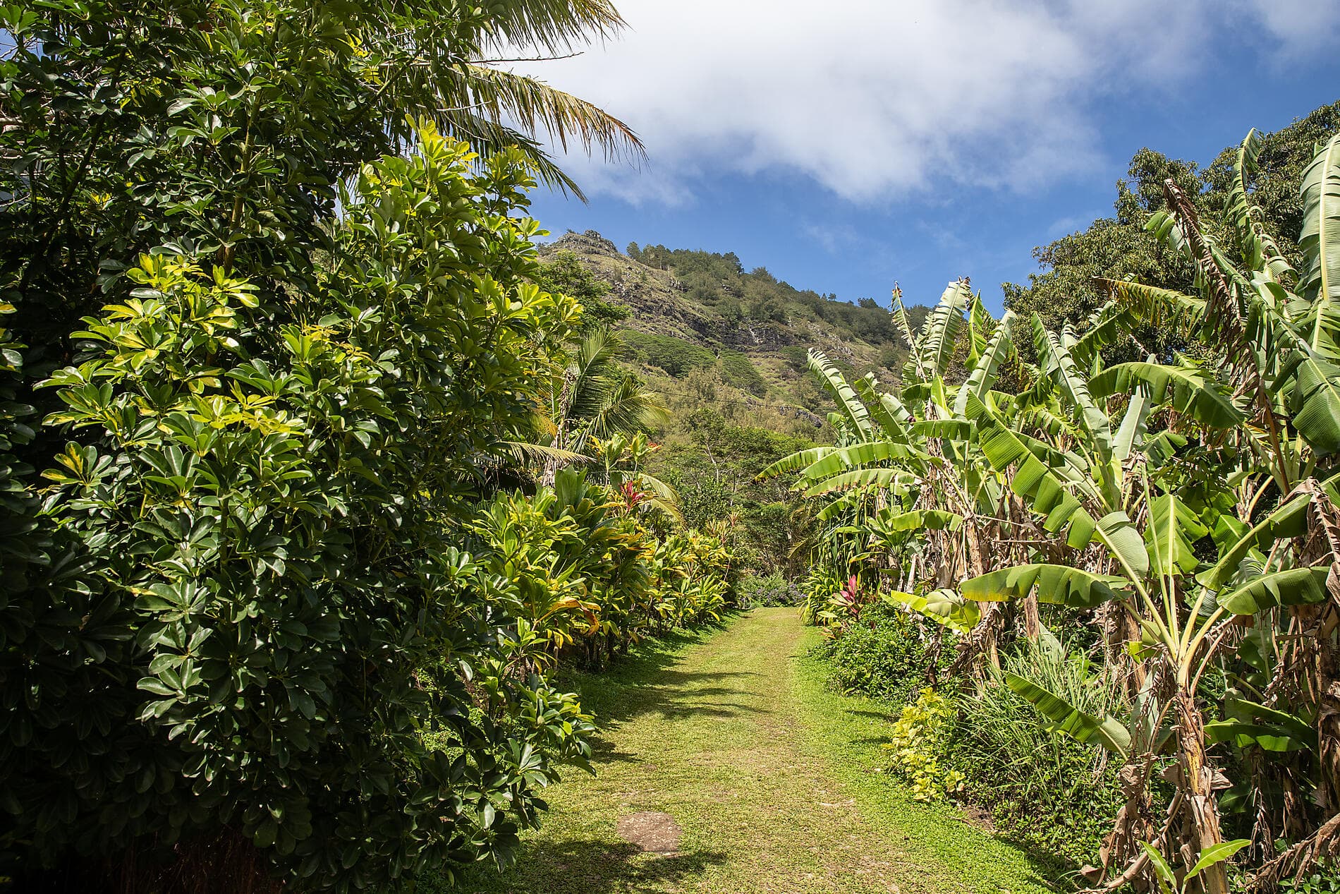 Secret Polynesia: Unexplored Tuamotu, the Gambier Islands and the Austral Islands 