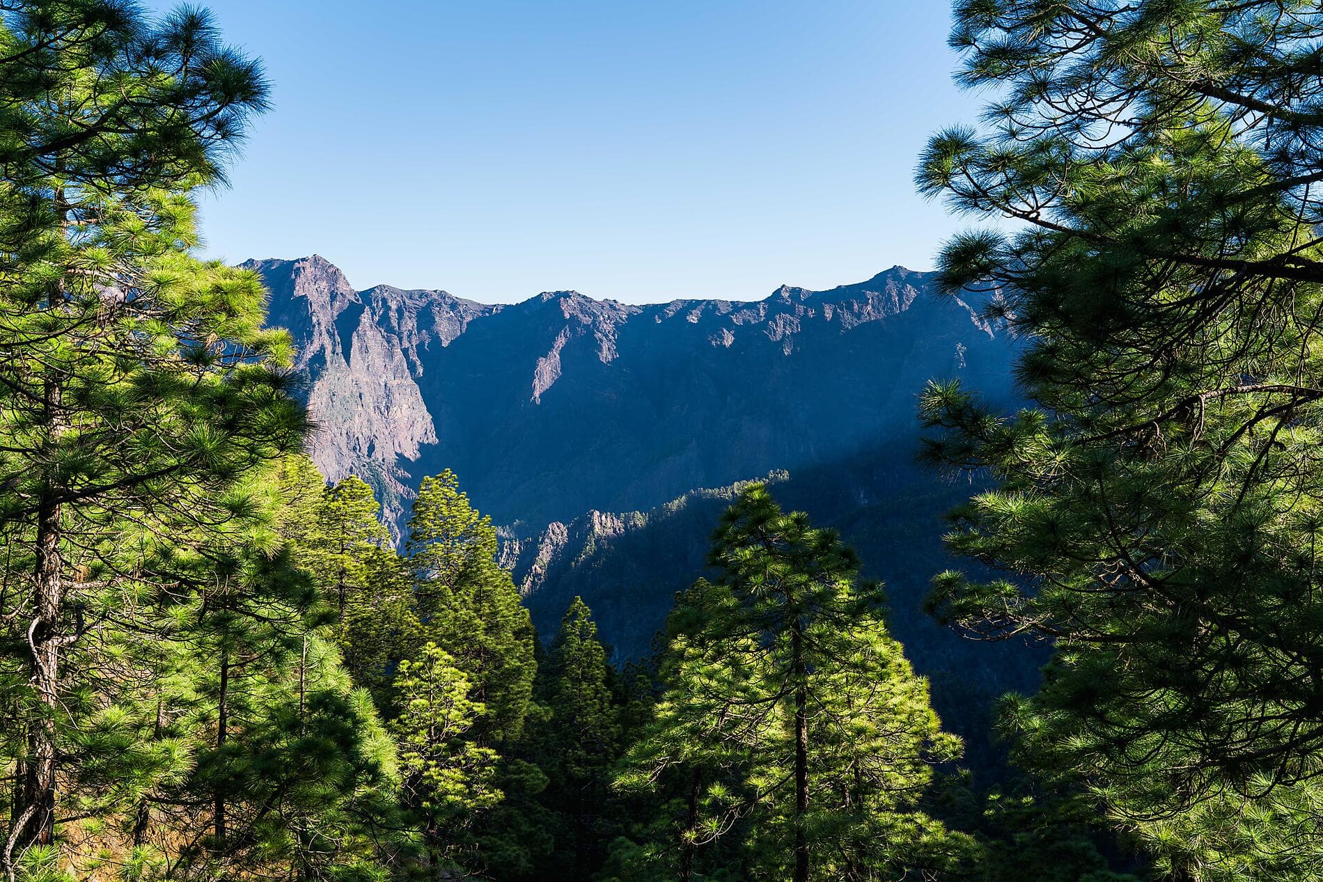 Splendours of the Canaries and authentic Madeira 