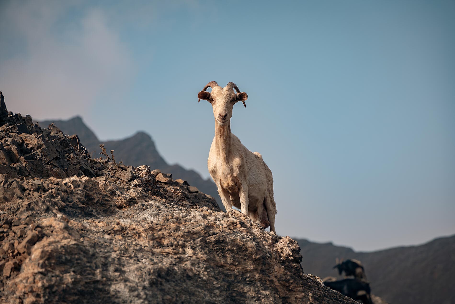 Volcanic landscapes from Cape Verde to Canary Islands 