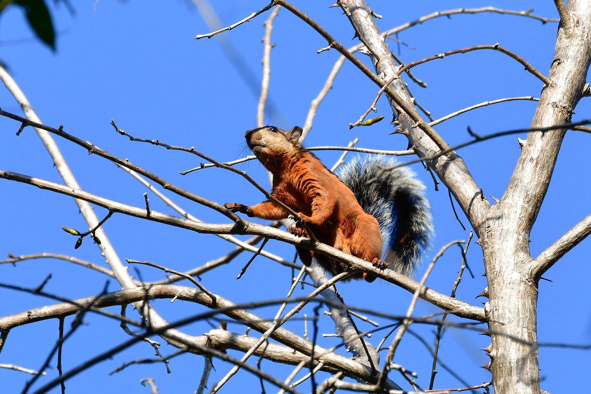 Secrets of Central America