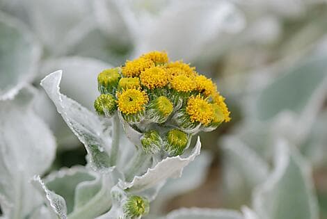 15 Dec 25 - Grave Cove