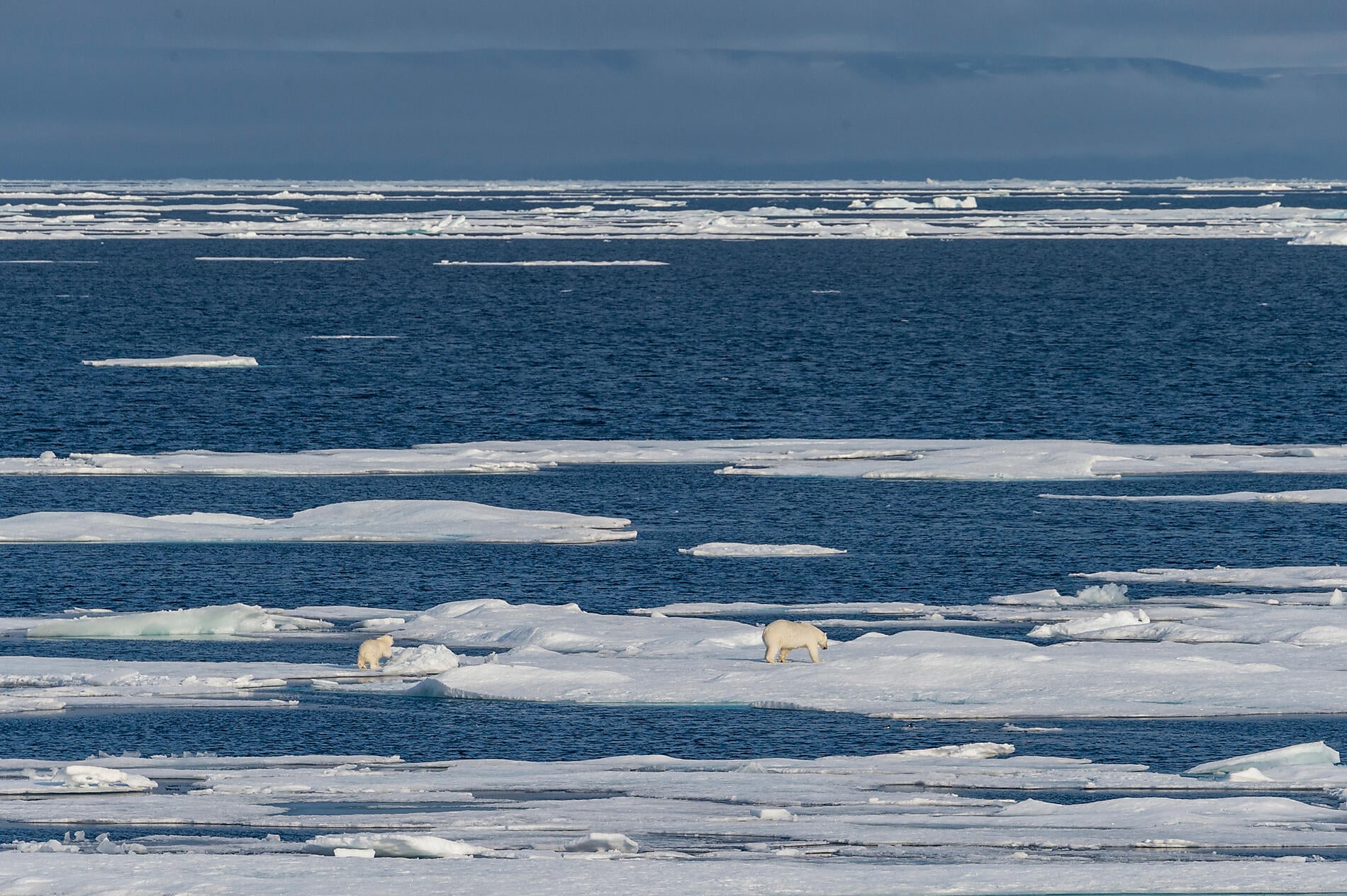 Best of-343_B200818_Kangerlussuaq-Nome©StudioPONANT-Laurence Fischer.jpg