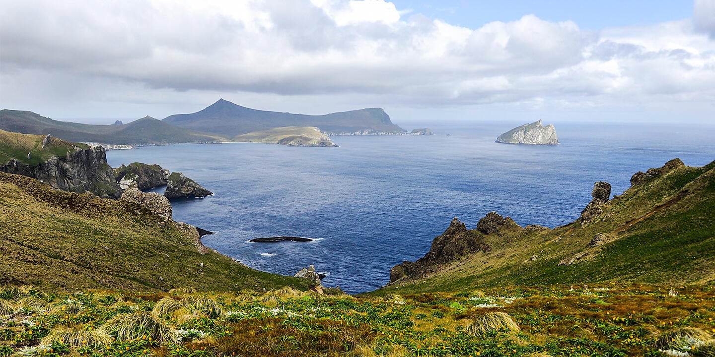 Expedition to New Zealand’s Subantarctic Islands 
