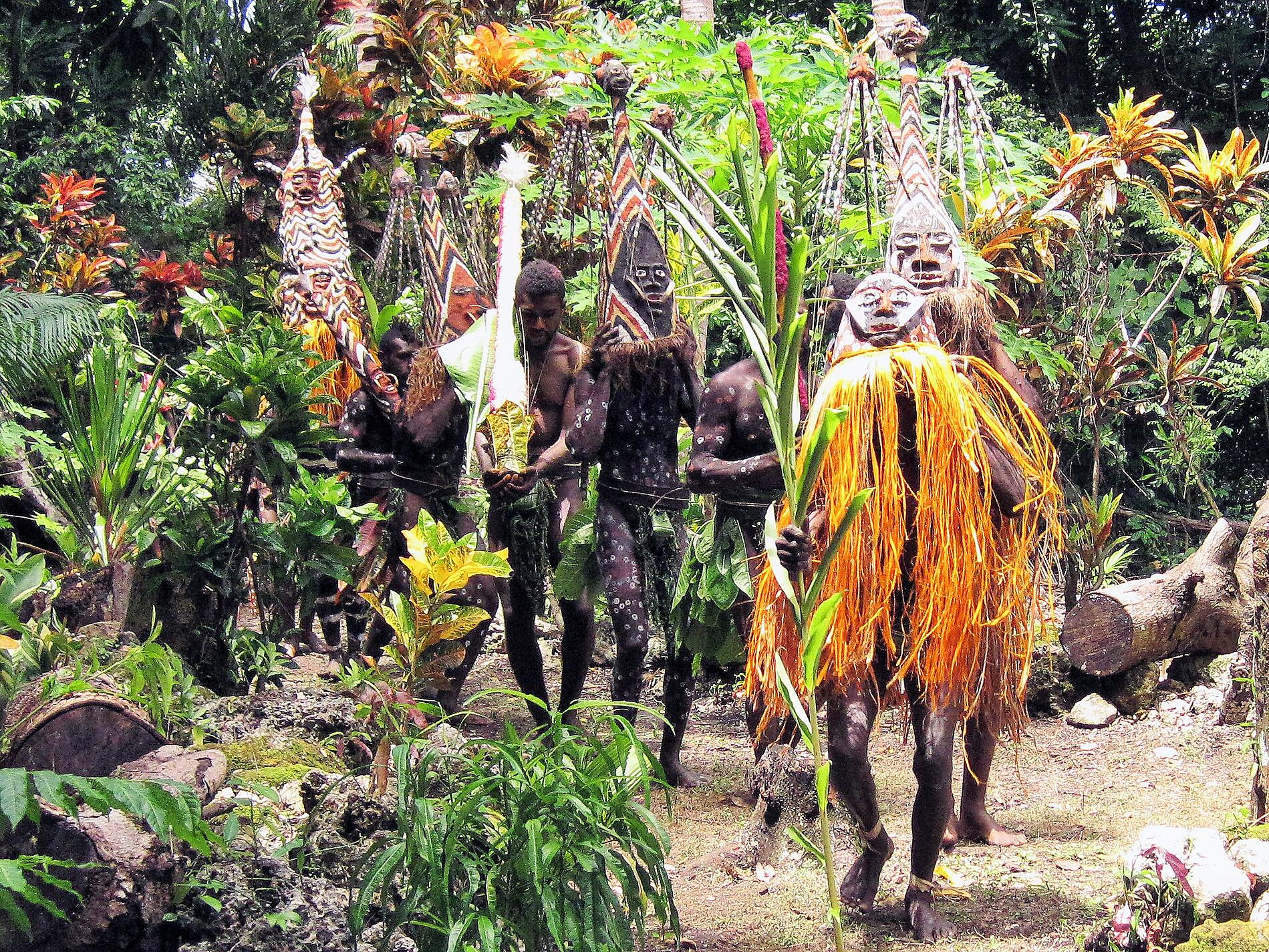 Mick Fogg-Malakula.JPG